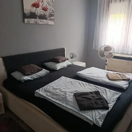 Knausz * Nagykanizsa